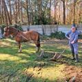 Foto van Pol De Swert