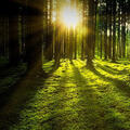 Foto van Maryse Hendryckx