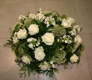 Bloemen