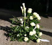 Bloemen