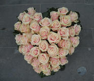Bloemen
