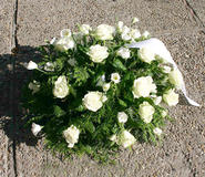 Bloemen